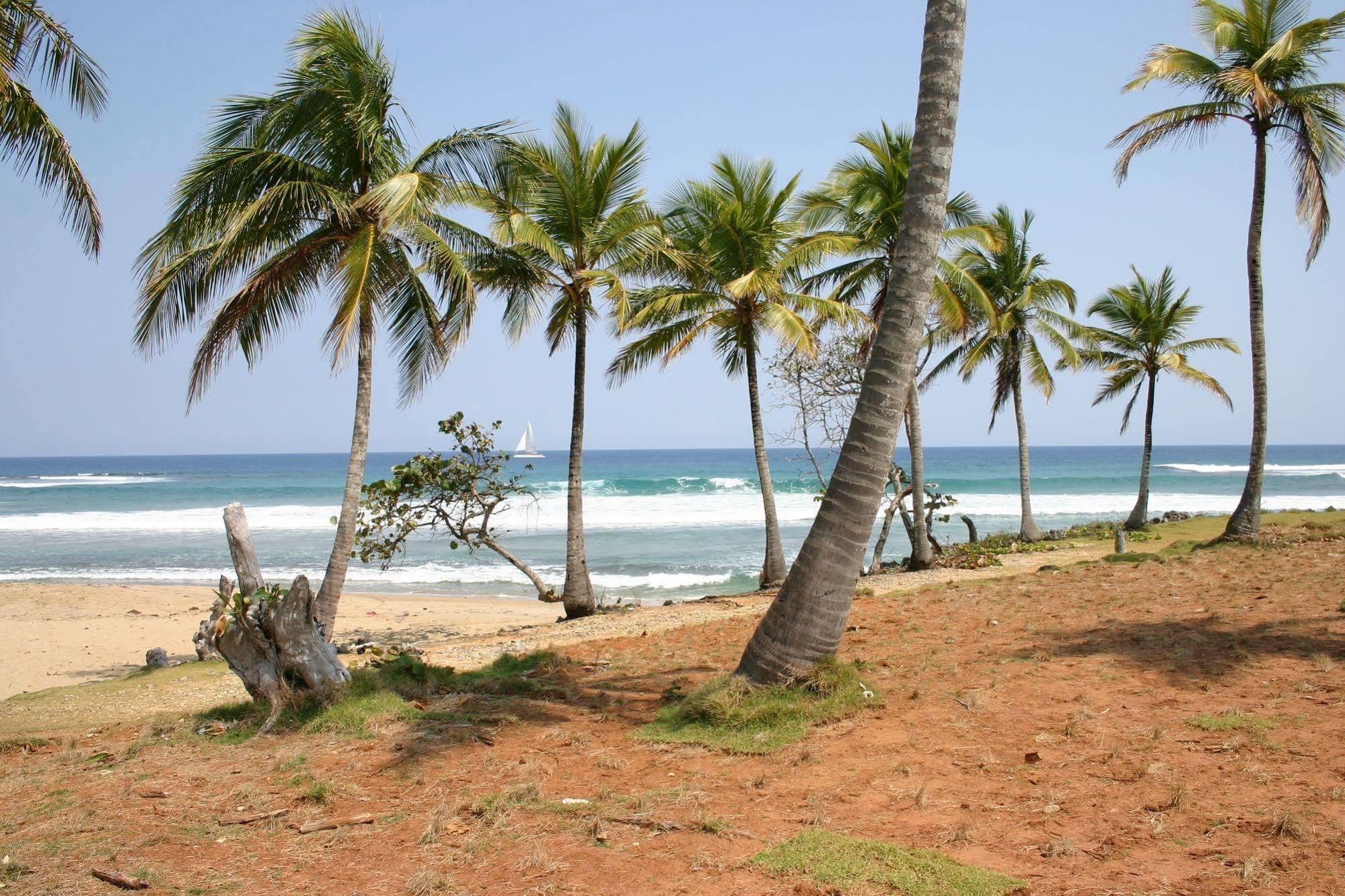 Slabdr Coliving, Once Surf Salvacion Vandrerhjem Cabarete Eksteriør bilde
